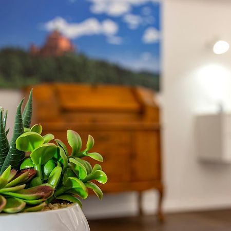 Righi Suite Apartment Болонья Екстер'єр фото